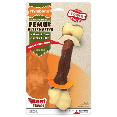Nylabone Os Durable Substitut aux Animaux Femur Boeuf Grand