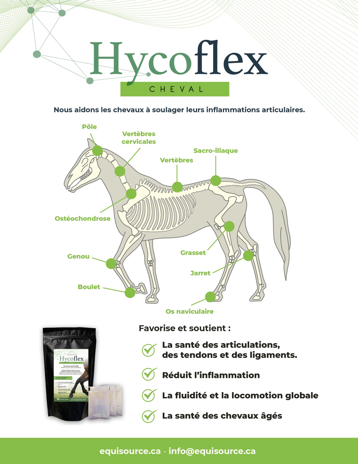 Hycoflex Cheval – Complément alimentaire