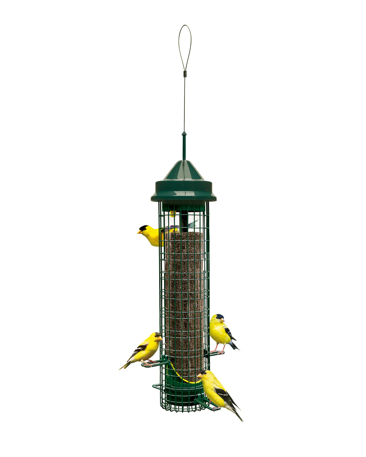 Mangeoire Squirrel BusterMD Chardonneret