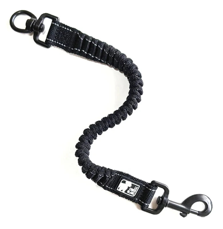 Chien Blanc Rallonge Bungee