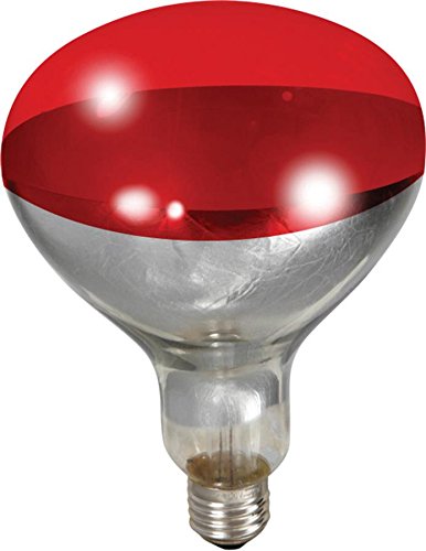 Lumière chauffante pour volaille 250W