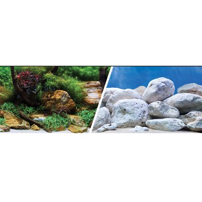 Arriere Plan Jardin Aquatique. Vendu au pied