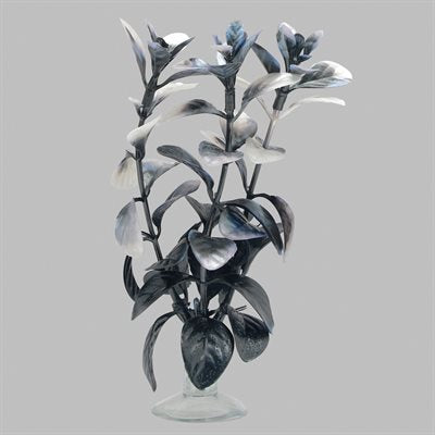 Ludwigia rouge pour aquarium équipé Marina pour betta, 12,7 cm (5 po)