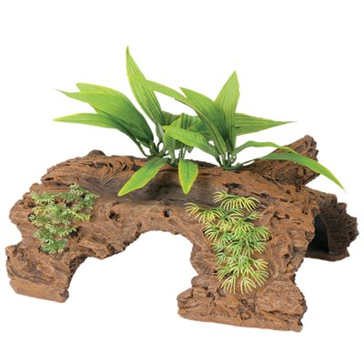 Naturals Marina, Demi rondin de bois de grève de Malaisie avec plantes, grand