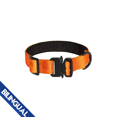 Canada Pooch® Utility Collier