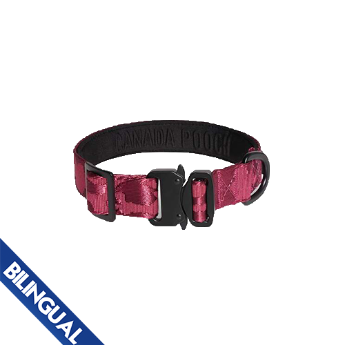 Canada Pooch® Utility Collier