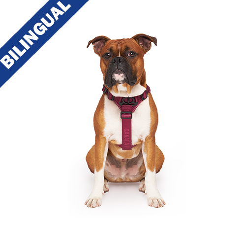 Canada Pooch® Harnais de contrôle complet