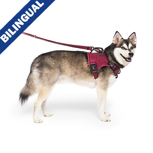 Canada Pooch® Harnais de contrôle complet