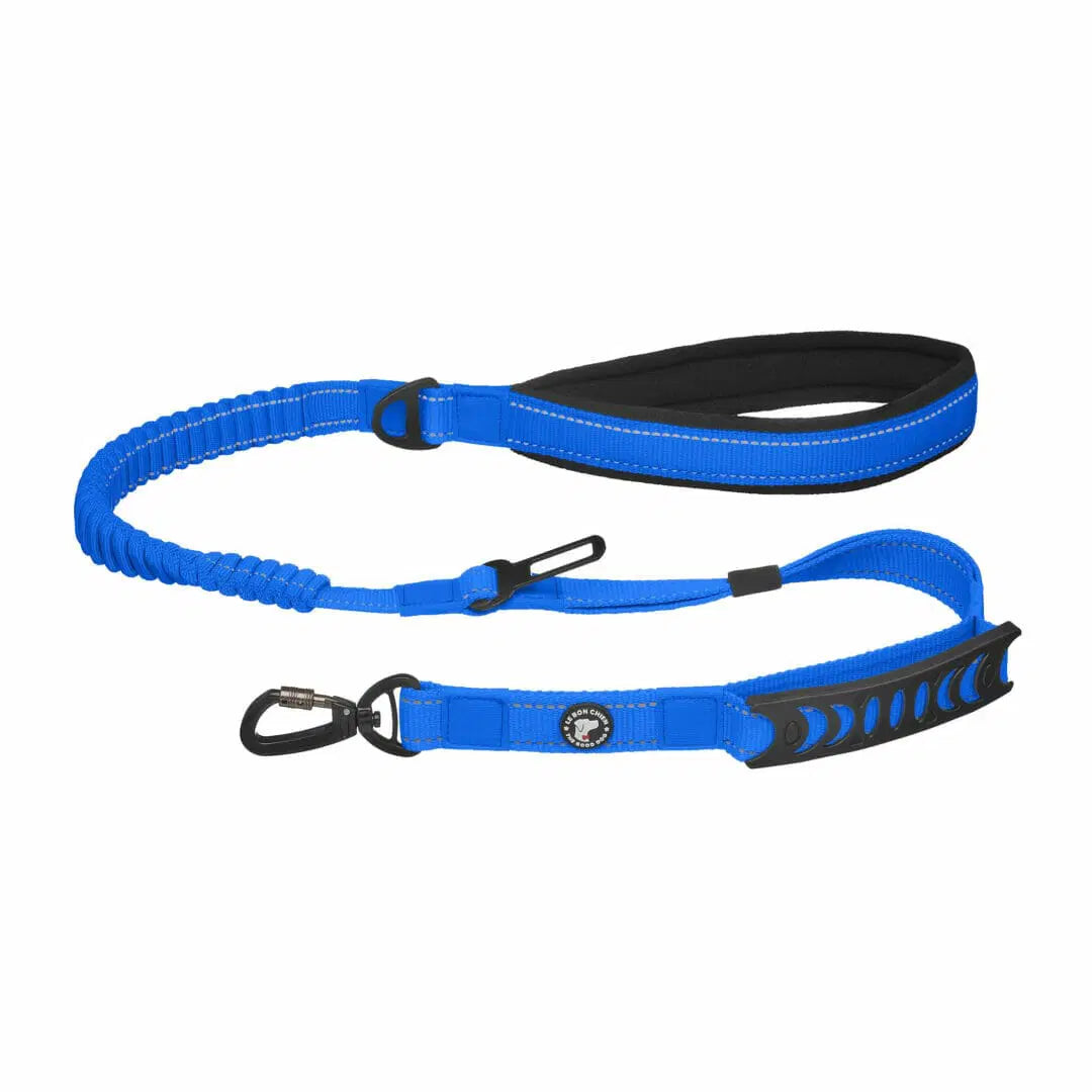 Le Bon Chien Laisse bungee multifonction avec attache pour la voiture