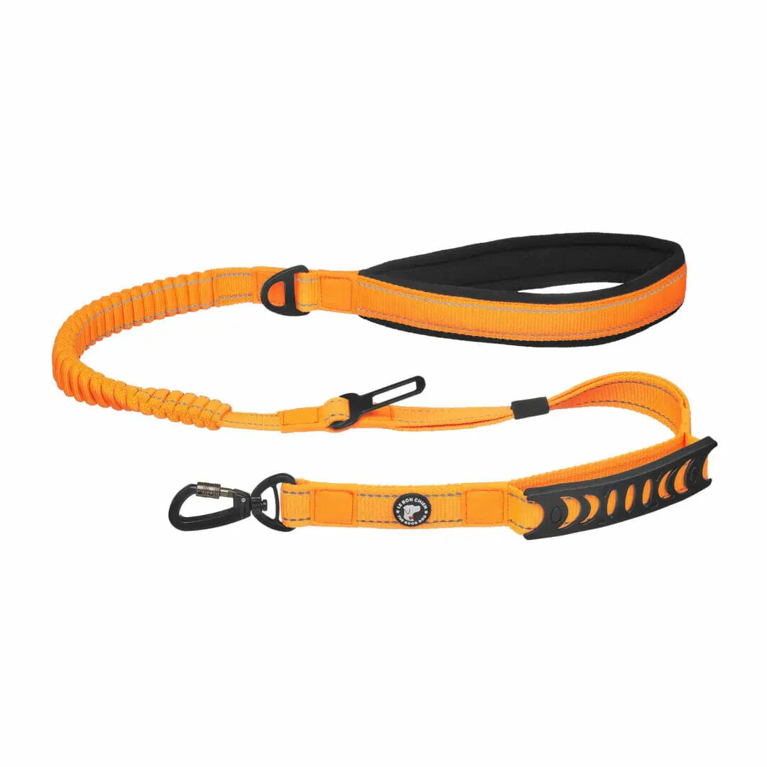 Le Bon Chien Laisse bungee multifonction avec attache pour la voiture