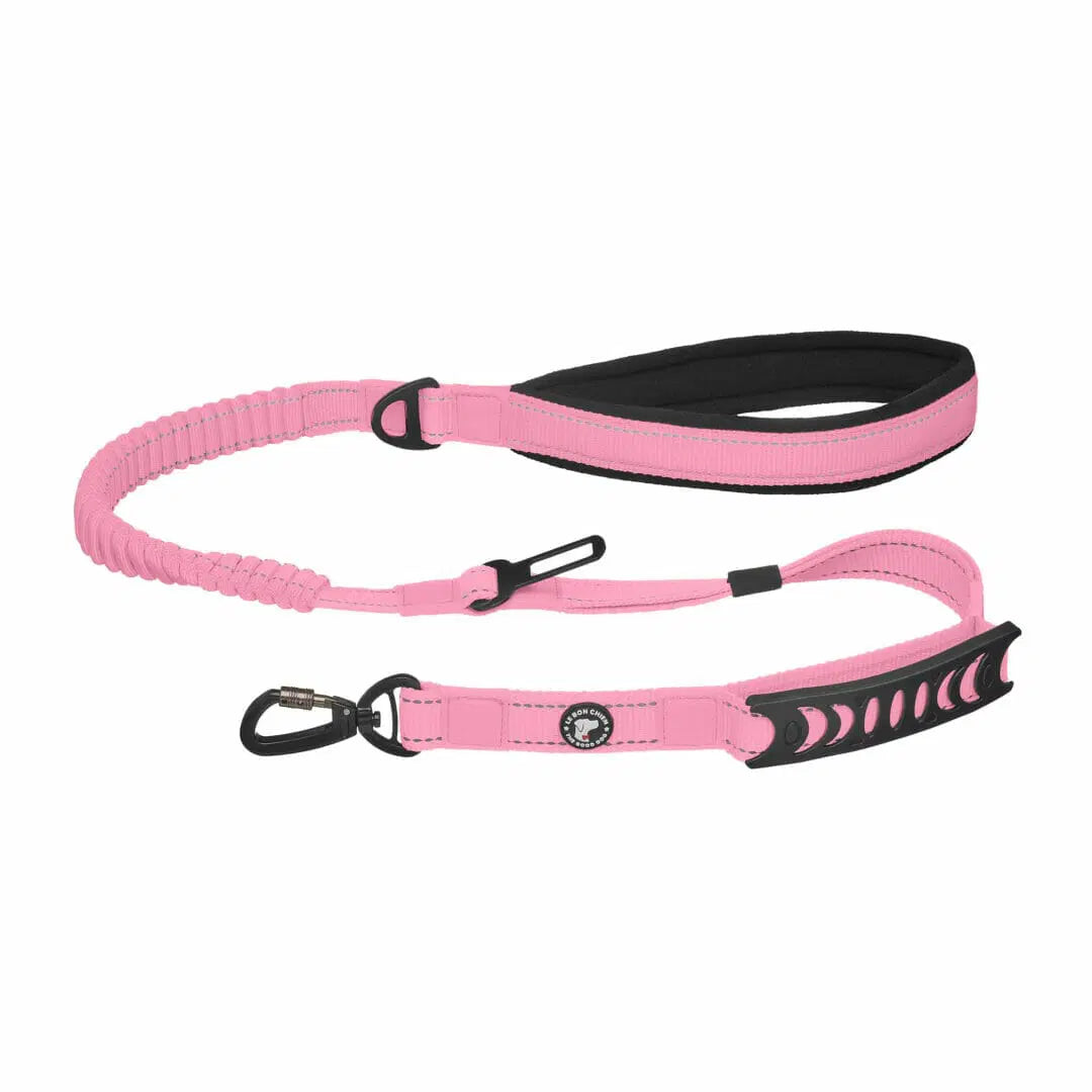 Le Bon Chien Laisse bungee multifonction avec attache pour la voiture