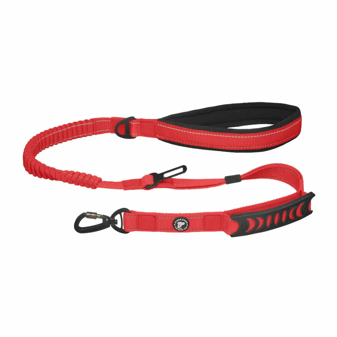Le Bon Chien Laisse bungee multifonction avec attache pour la voiture
