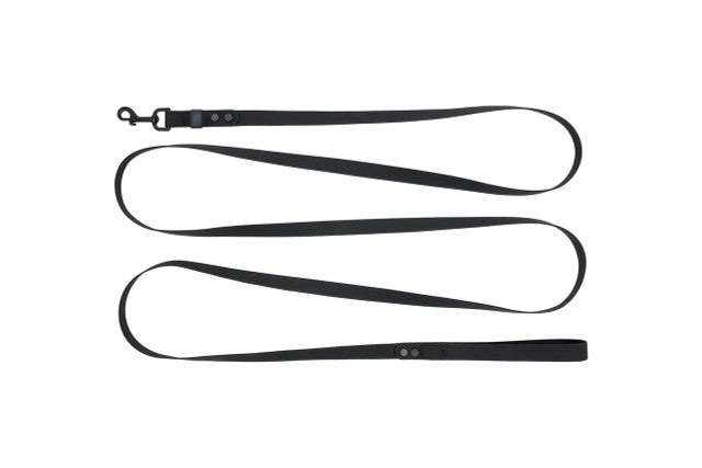 RC Pets Longue Laisse Étanche 3/4'' x 10'