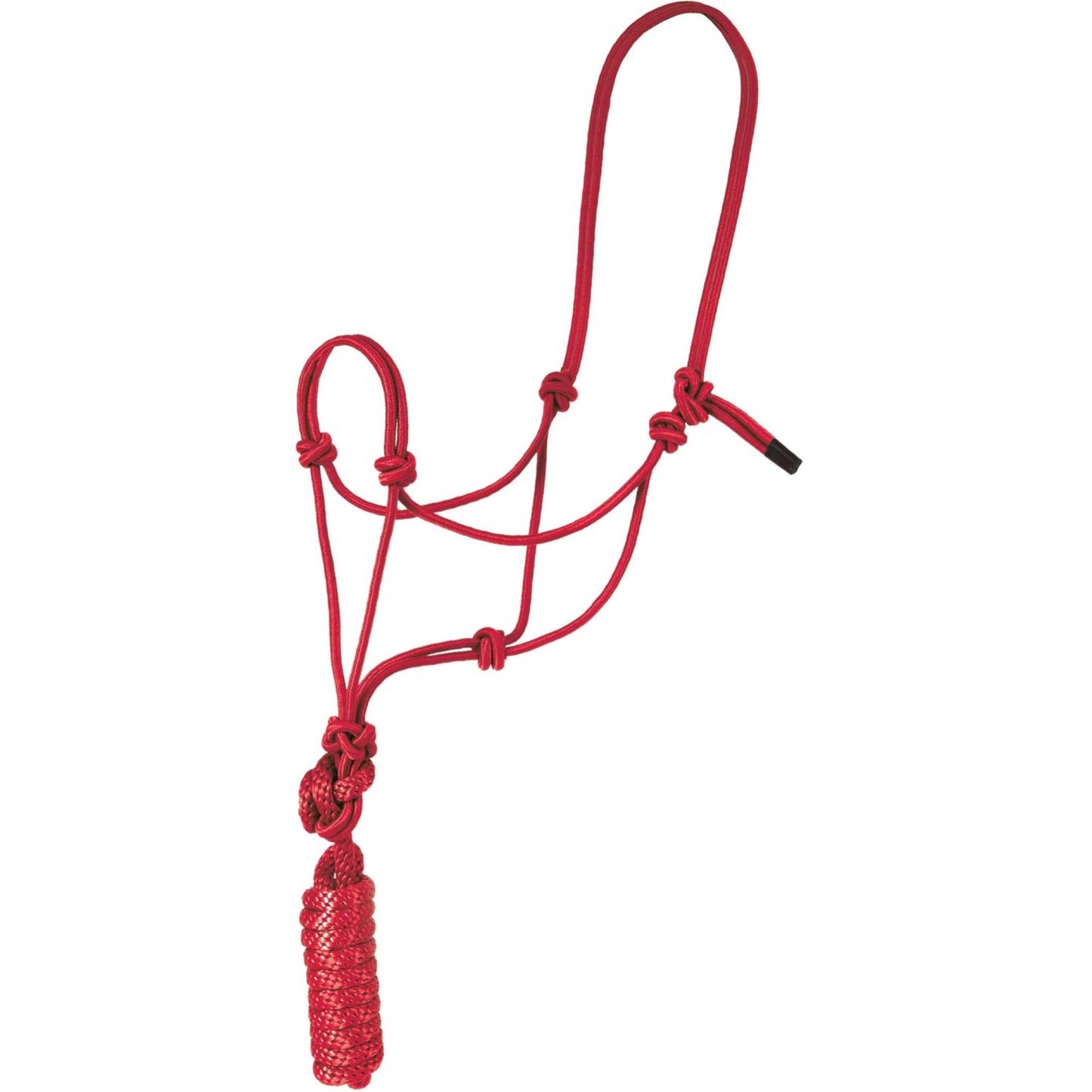 Licol en corde Mustang Economy avec longe – Taille cheval