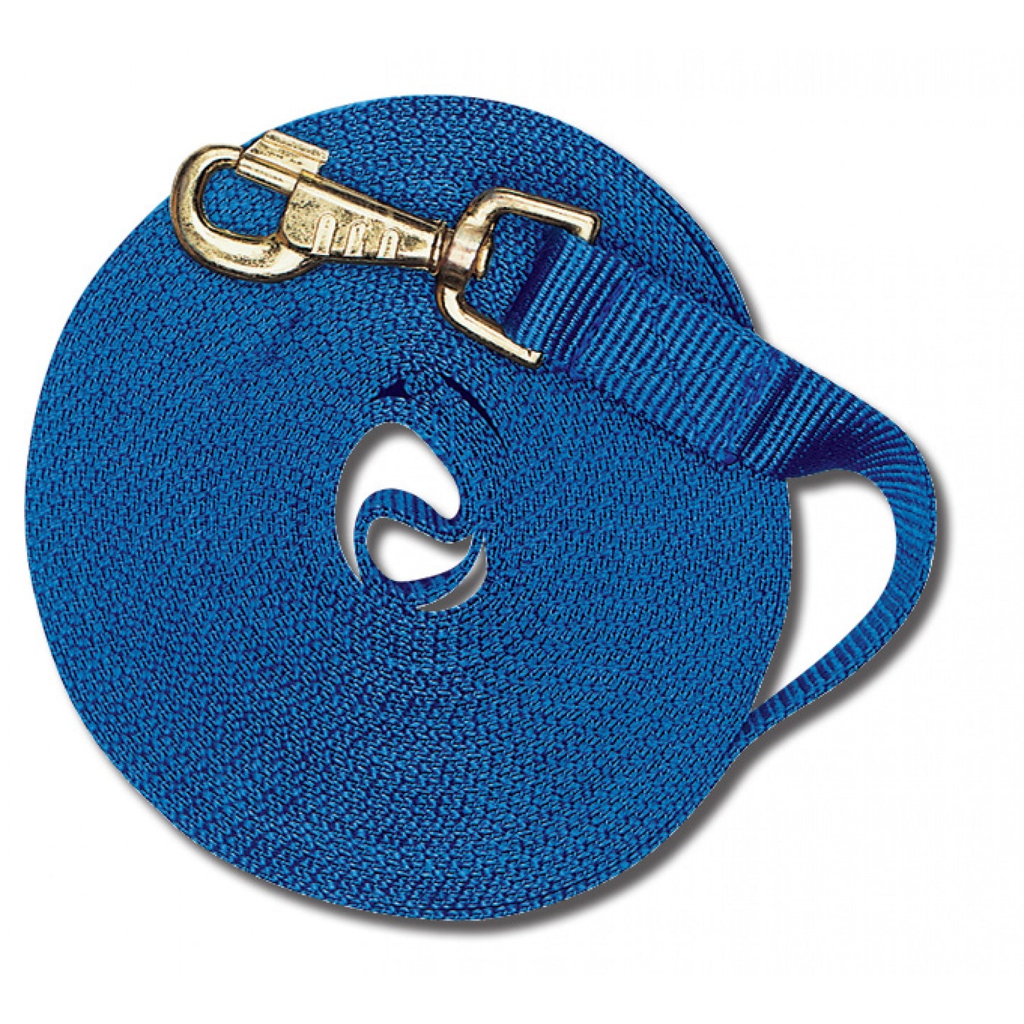 Cavalier Longe de 30 pieds avec Mousqueton