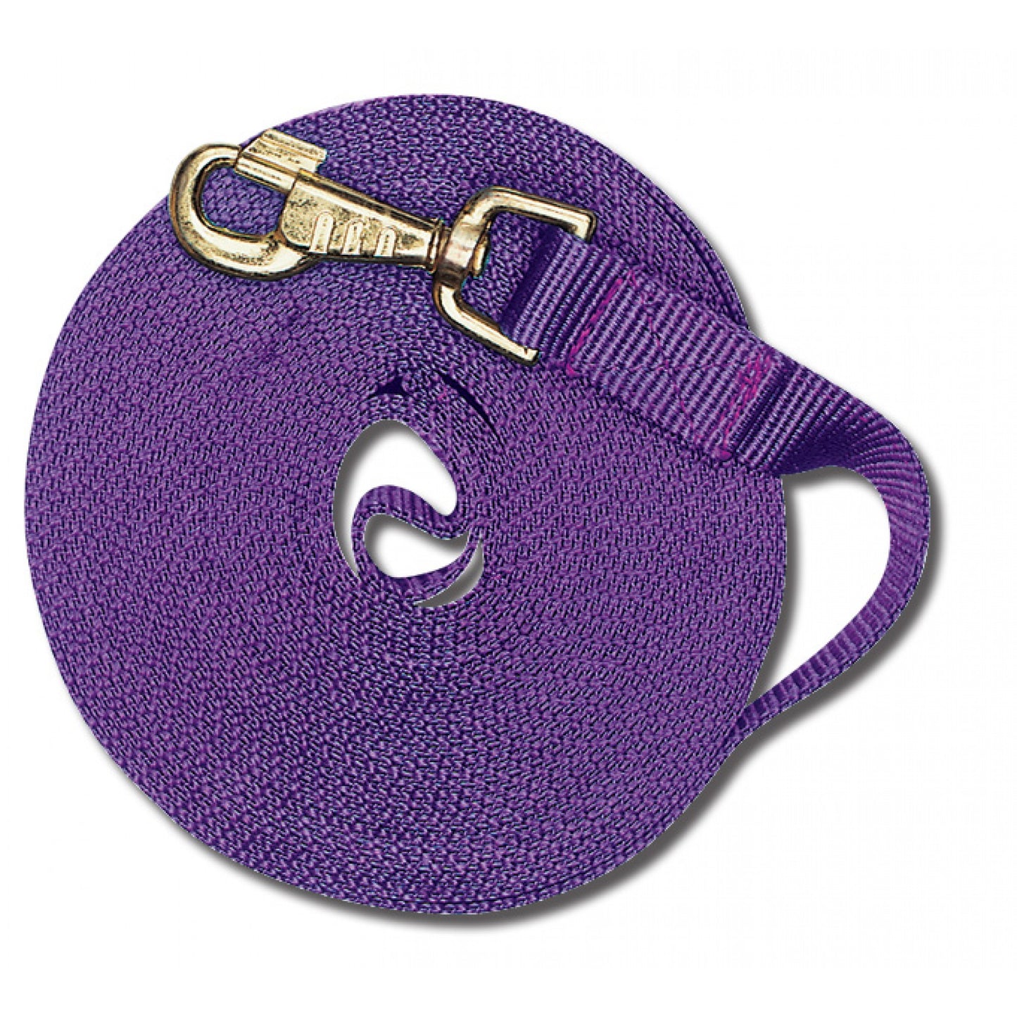 Cavalier Longe de 30 pieds avec Mousqueton
