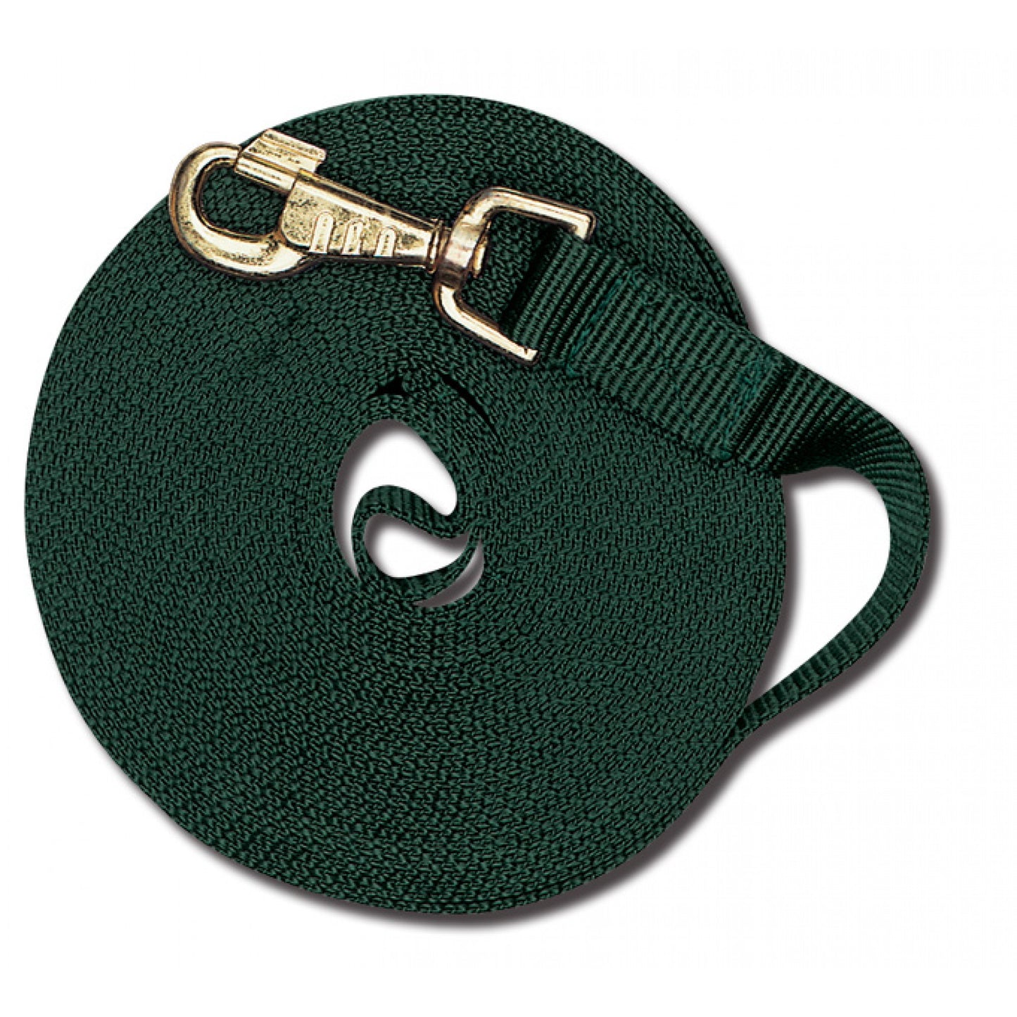 Cavalier Longe de 30 pieds avec Mousqueton