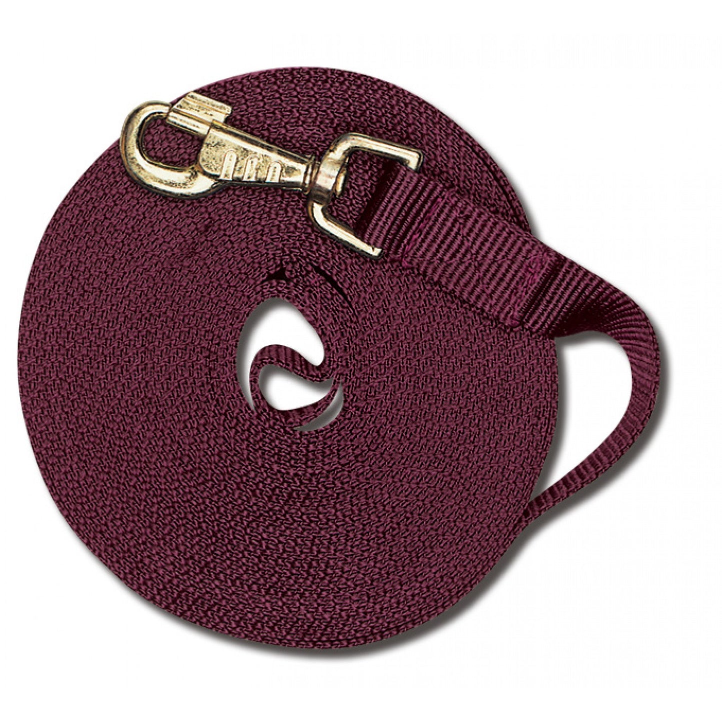 Cavalier Longe de 30 pieds avec Mousqueton