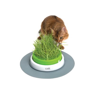 Catit Senses Jardinière D'Herbe 2.0