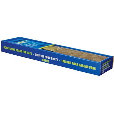 Catit Griffoir avec Herbe-Aux-Chats, Étroit