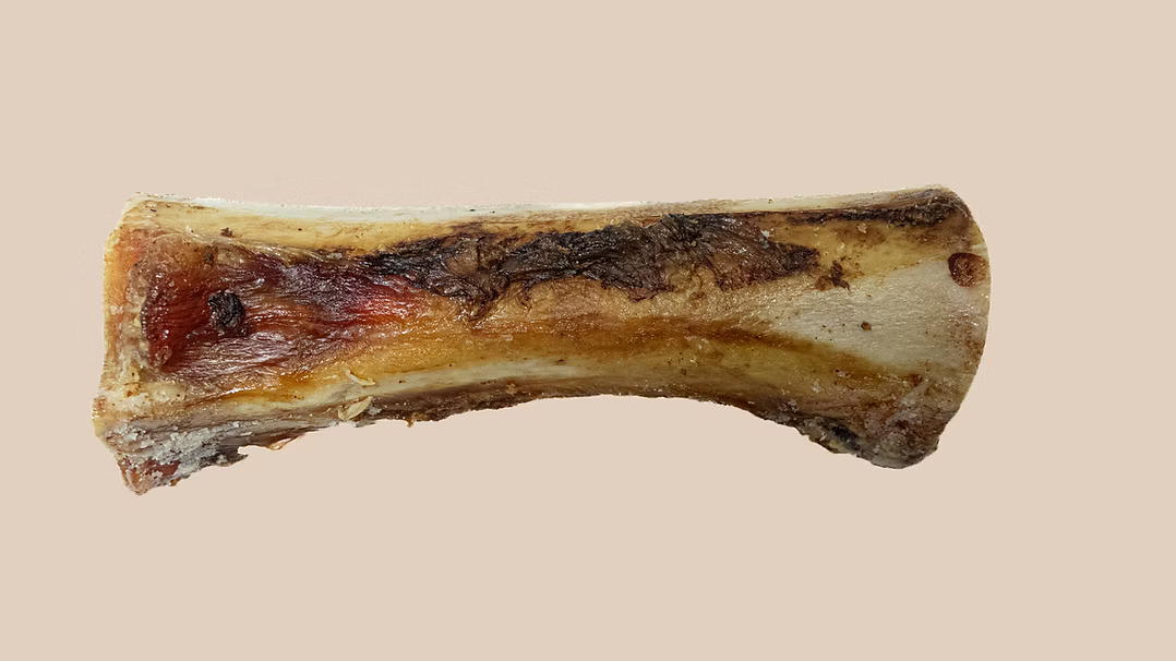 Kyon fémur de boeuf ''-8''