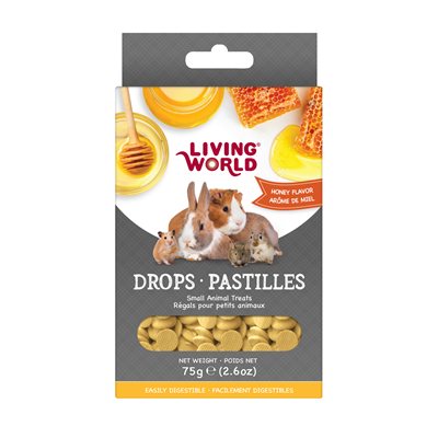 Régals Living World pour petits animaux, pastilles, arôme de miel, 75 g (2,6 oz)