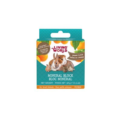 Bloc minéral Living World pour petits animaux, arôme d’orange, petit, 40 g (1,4 oz)