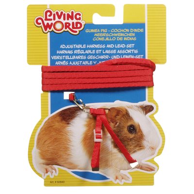 LivingWorld Ensemble Harnais et Laisse Cobayes, Forme 8, Rouge