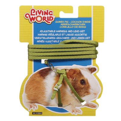 Living world Ensenble Harnais et Laisse Cobayes, Forme 8,Vert