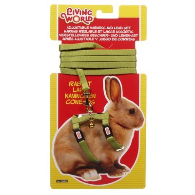 Living world Ensemble Harnais et Laisse Lapins Normale, Vert