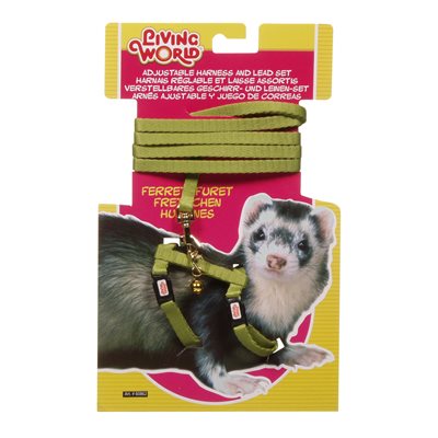 Living World Ensemble De Harnais et Laisse Furet, Vert