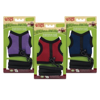 Living World Ensemble Laisse et Harnais Couleur Assortie Moyen
