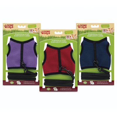 Living World Ensemble Laisse et Harnais Couleur Assortie Grand