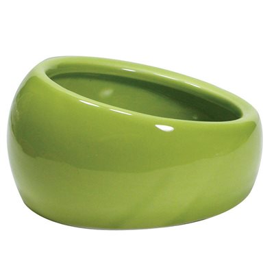 Bol Ergonomique Living World, Petit, Vert