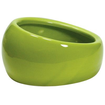 Bol Ergonomique Living World, Grand, Vert