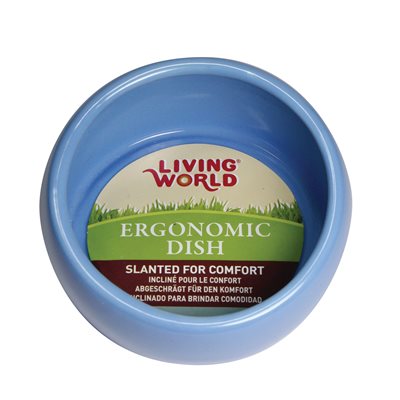 Bol Ergonomique Living World, Grand, Bleu