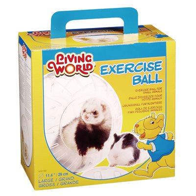 Living world Balle Exercice ,Grande
