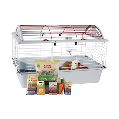 Cage Equipe De Luxe Pour Cochon D'Inde