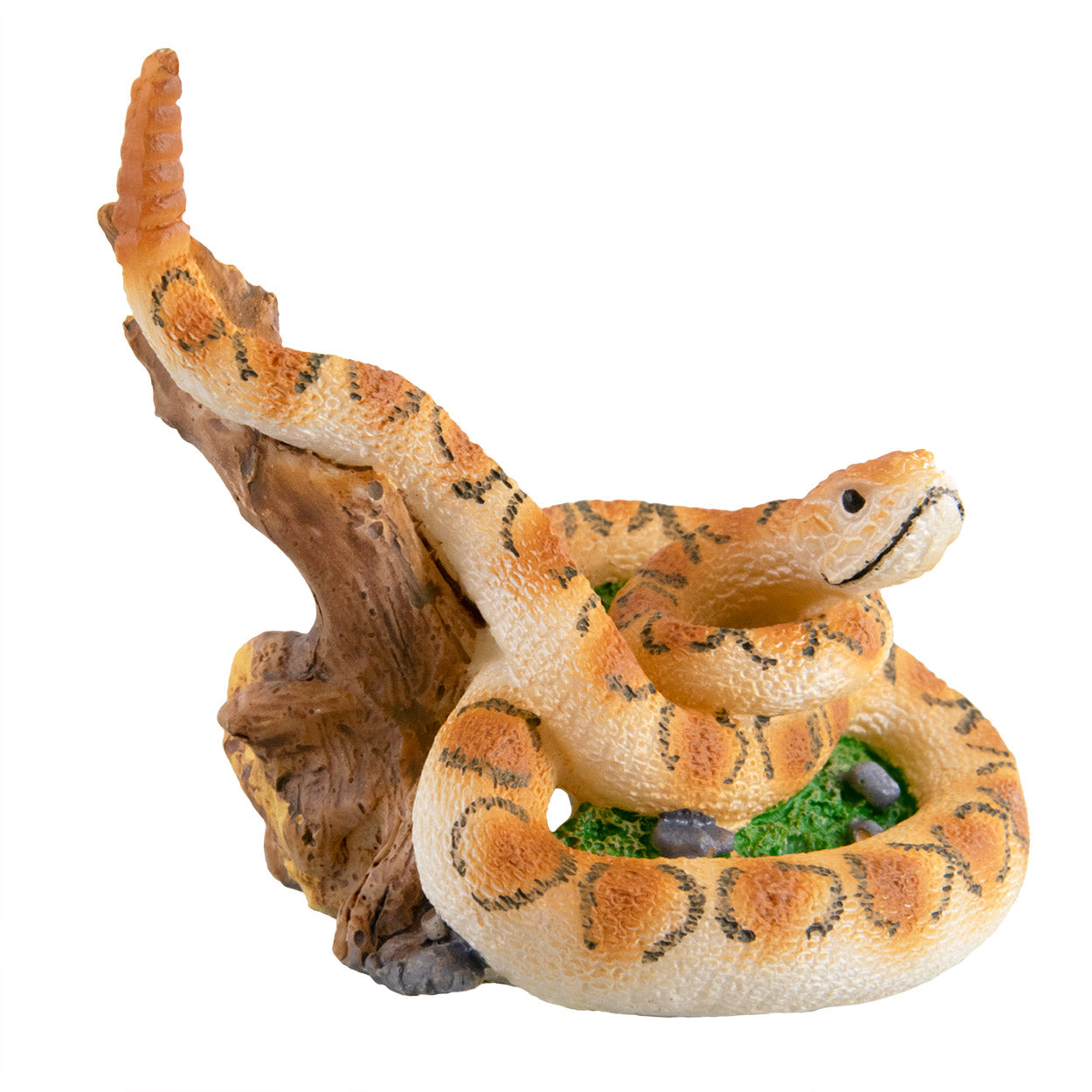 Trésor Sous Marin Serpent Sur Buche