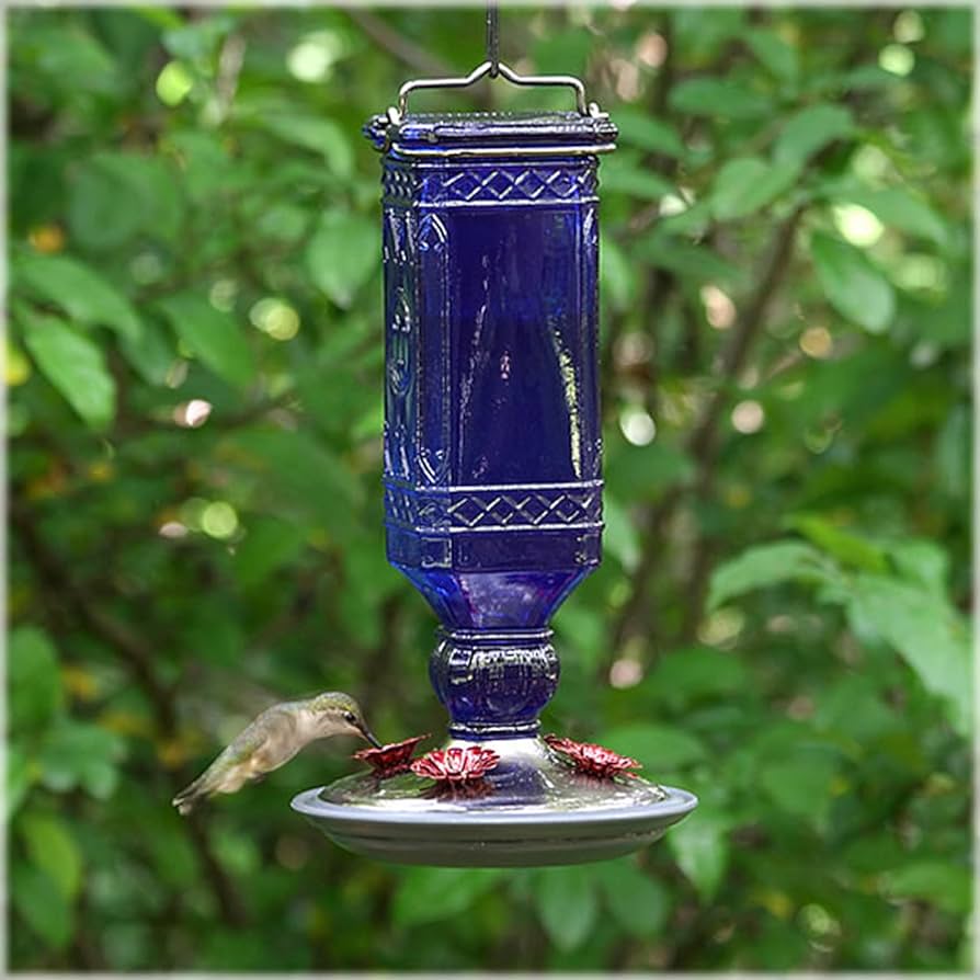 Abreuvoir Colibri Bouteille de Verre Antique Bleue 16Oz