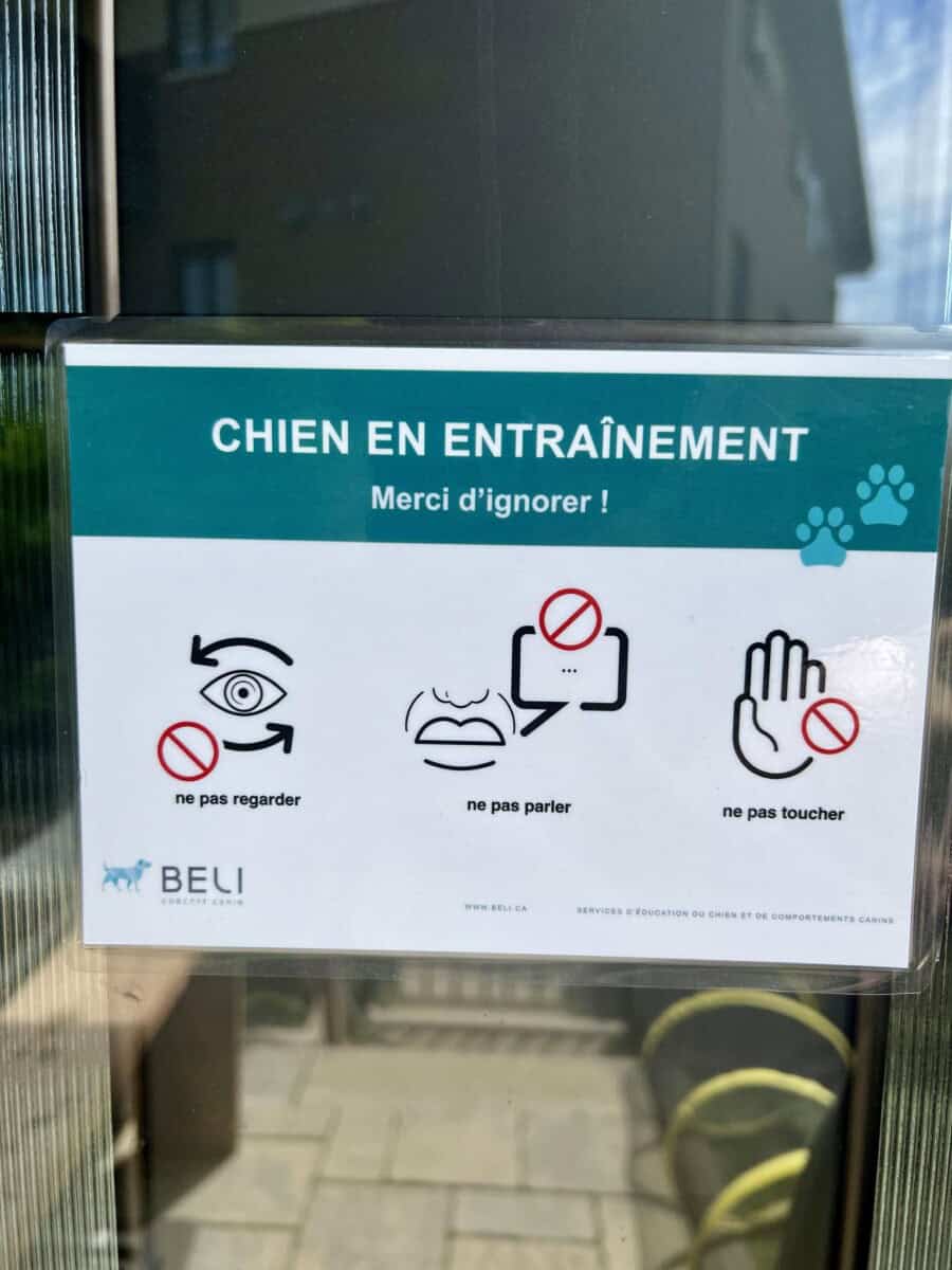 Beli Concept Affiche chien en entraînement