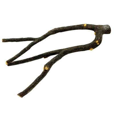 Perchoir Natures Perch Living World, Grand