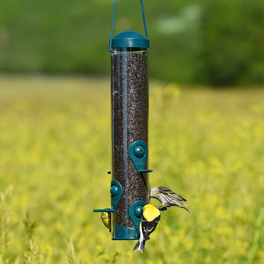 Mangeoire Sauvage/Chardon 2En1 Vert 1.8Lbs