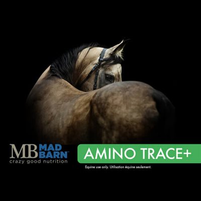 Mad Barn Amino Trace Cube 5 Kg