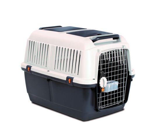 Bergamo Transporteur Bracco (approuvé Pour L'avion) Moyen 81x60x62cm