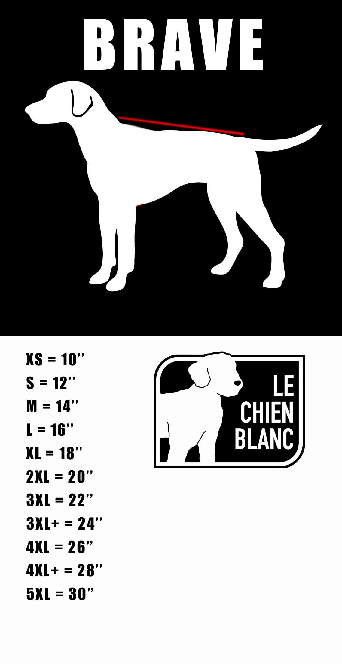 Le Chien Blanc Brave Manteau 4 Pattes