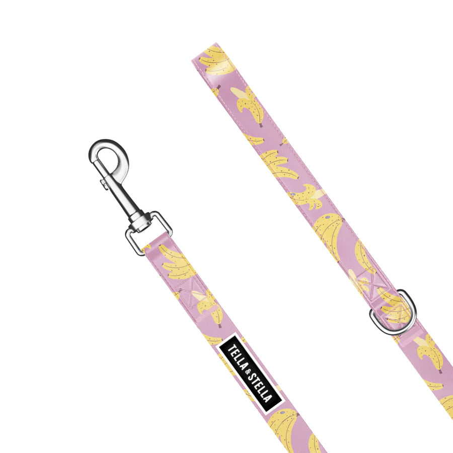 Tella & Stella Laisse Pour Chien Collection Motif