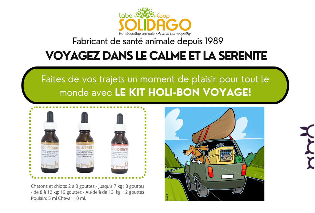 Holidago Kit Bon Voyage