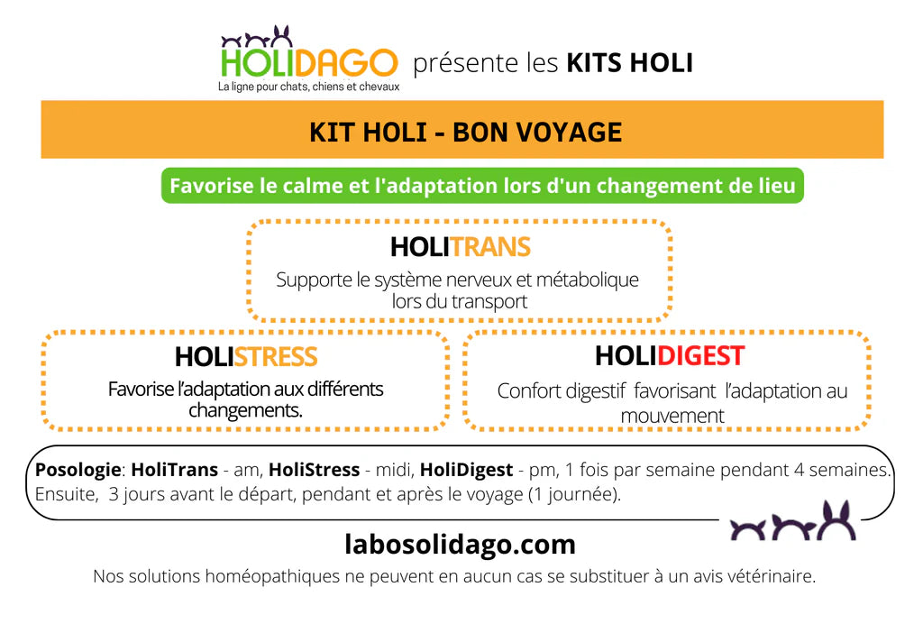 Holidago Kit Bon Voyage