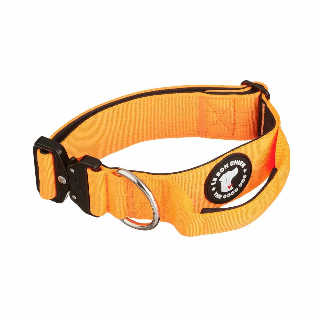 Le Bon Chien Collier Tactique